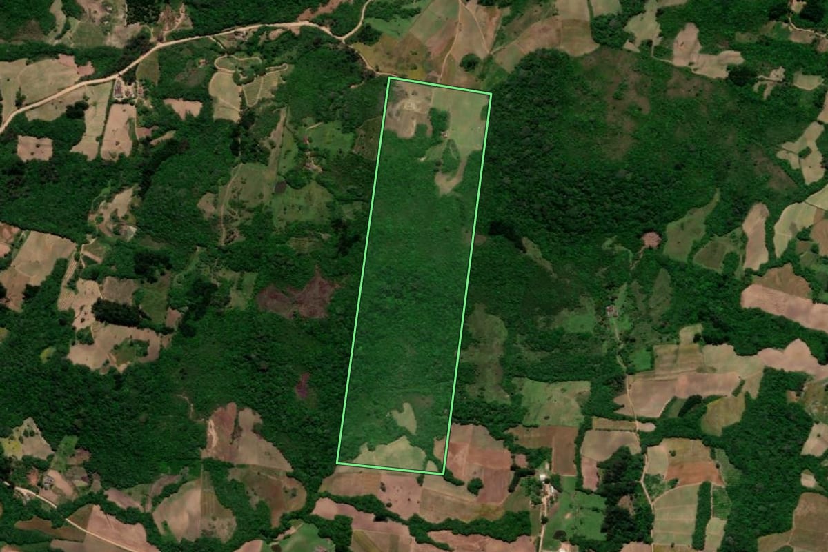 Imagem de satélite do imóvel rural em Pelotas (RS), com o contorno declarado no CAR desenhado por cima.