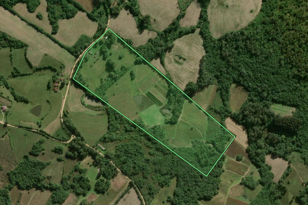 Imagem de satélite do imóvel rural em Pelotas (RS), com o contorno declarado no CAR desenhado por cima.