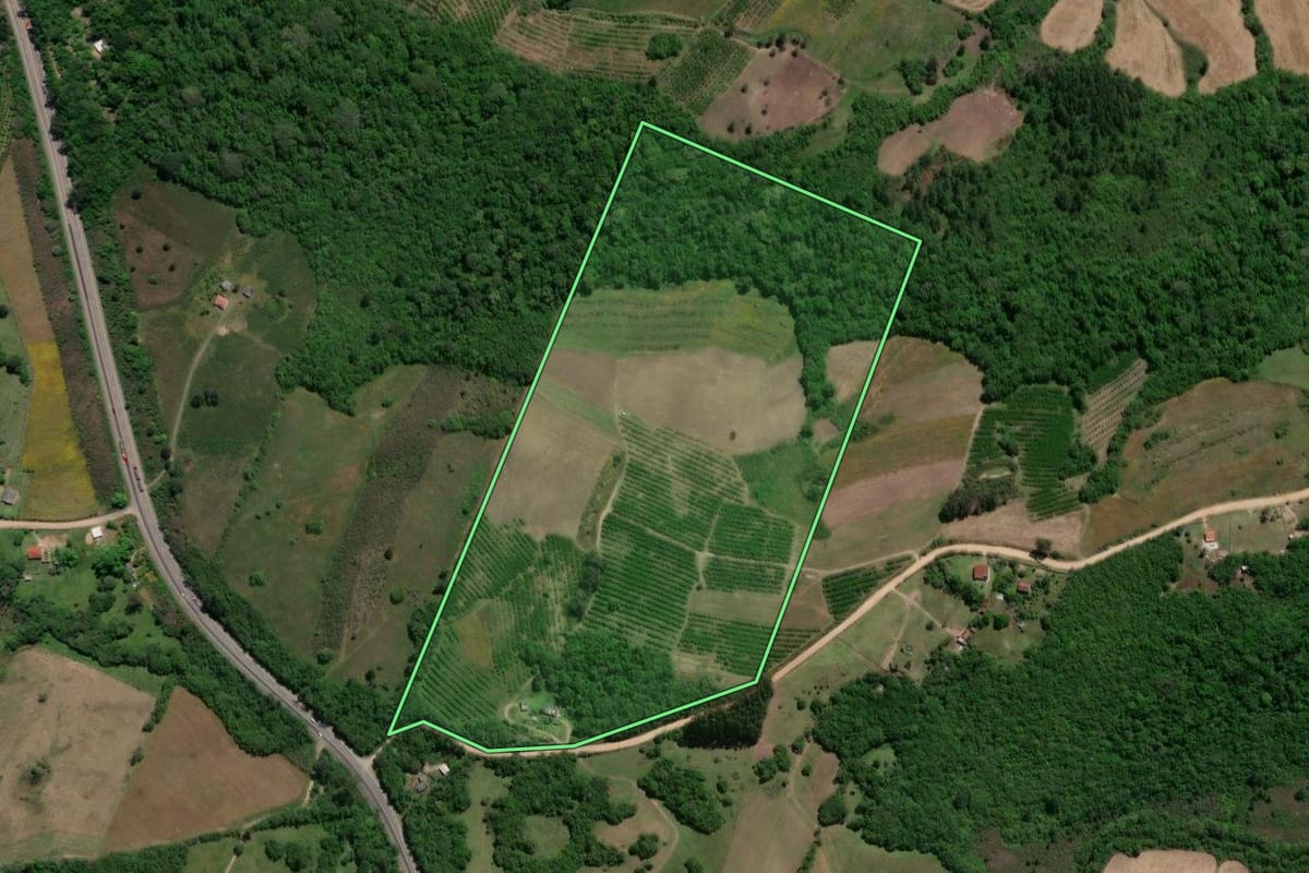 Imagem de satélite do imóvel rural em Pelotas (RS), com o contorno declarado no CAR desenhado por cima.