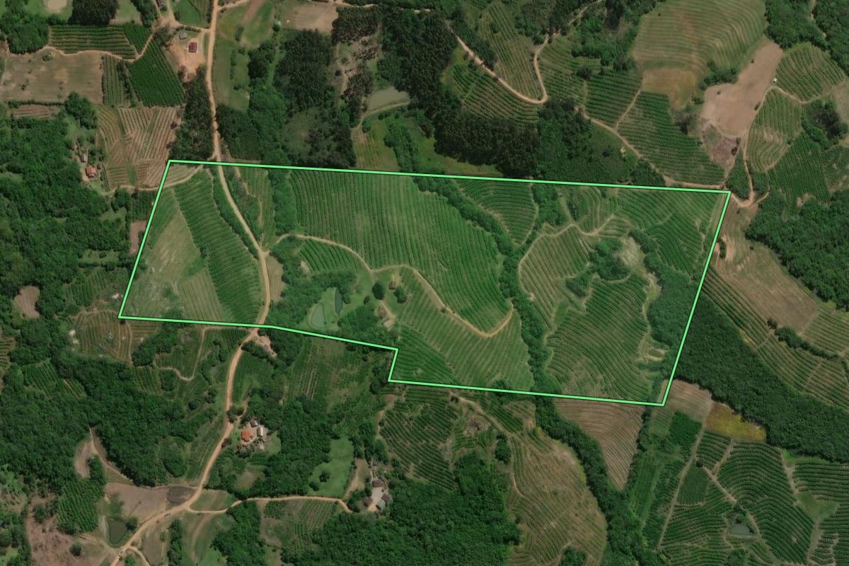 Imagem de satélite do imóvel rural em Pelotas (RS), com o contorno declarado no CAR desenhado por cima.