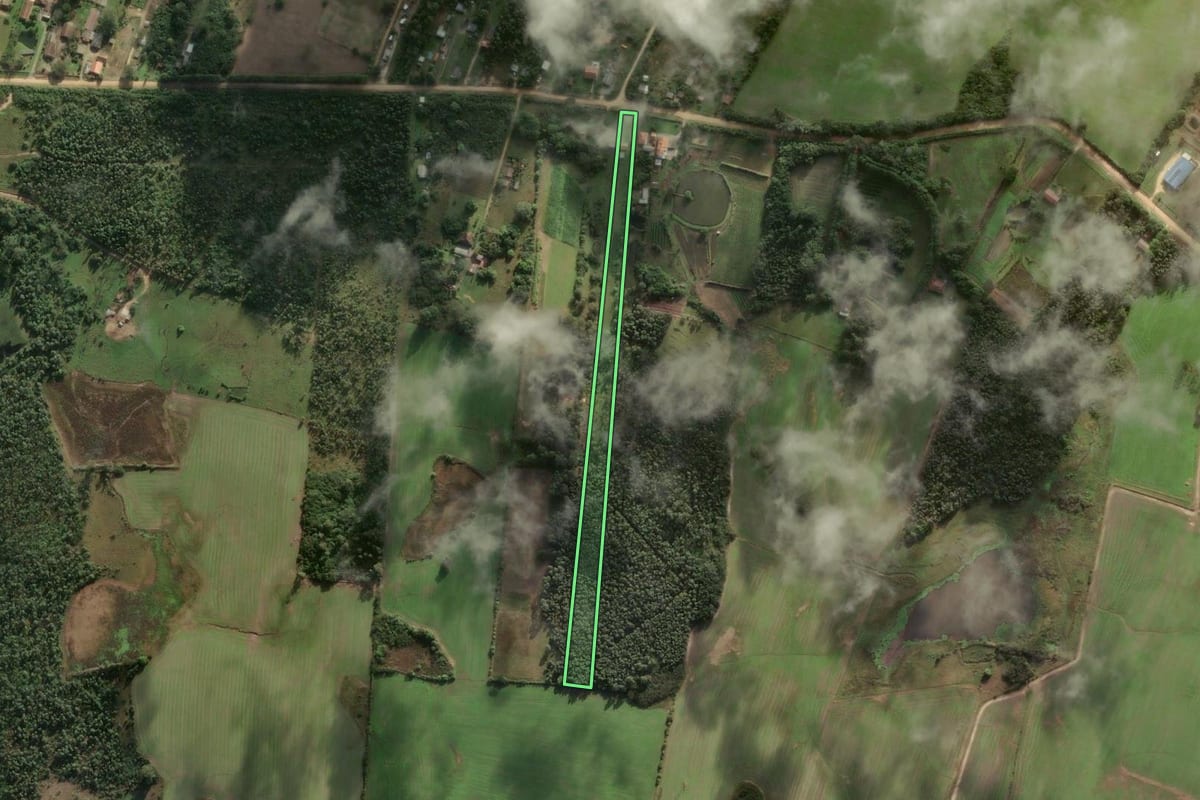 Imagem de satélite do imóvel rural em Pelotas (RS), com o contorno declarado no CAR desenhado por cima.