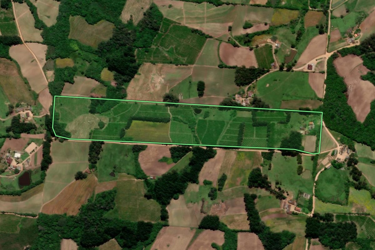 Imagem de satélite do imóvel rural em Pelotas (RS), com o contorno declarado no CAR desenhado por cima.