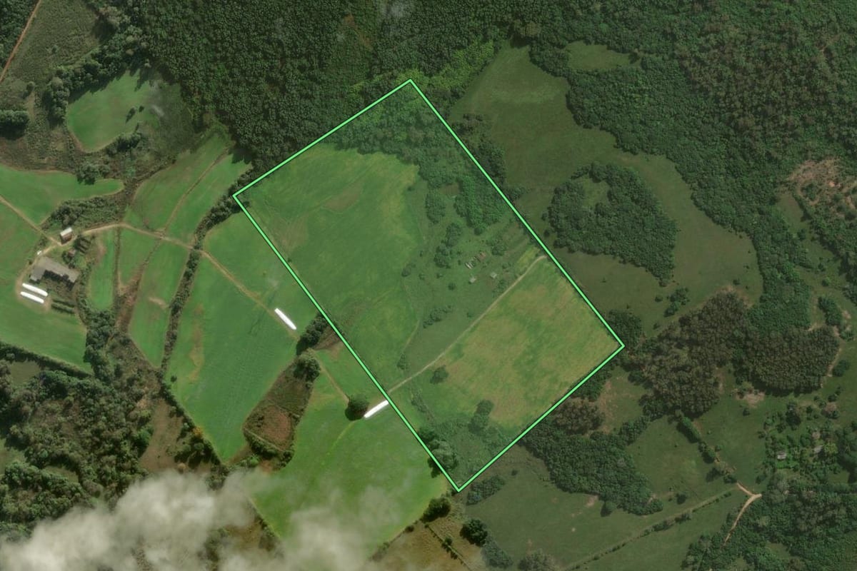 Imagem de satélite do imóvel rural em Pelotas (RS), com o contorno declarado no CAR desenhado por cima.