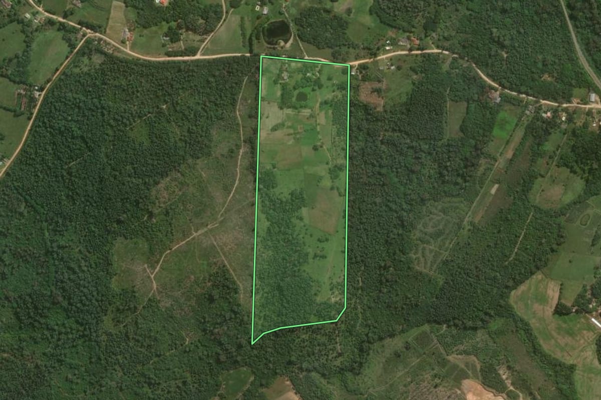 Imagem de satélite do imóvel rural em Pelotas (RS), com o contorno declarado no CAR desenhado por cima.