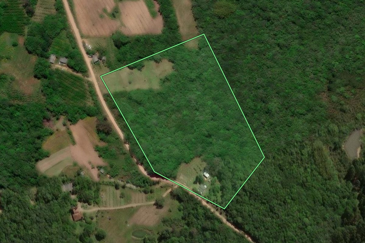 Imagem de satélite do imóvel rural em Pelotas (RS), com o contorno declarado no CAR desenhado por cima.