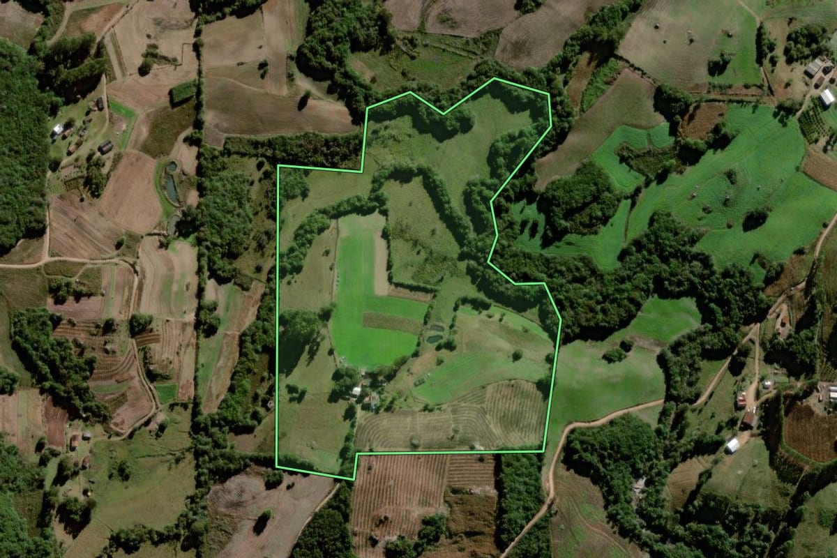 Imagem de satélite do imóvel rural em Pelotas (RS), com o contorno declarado no CAR desenhado por cima.