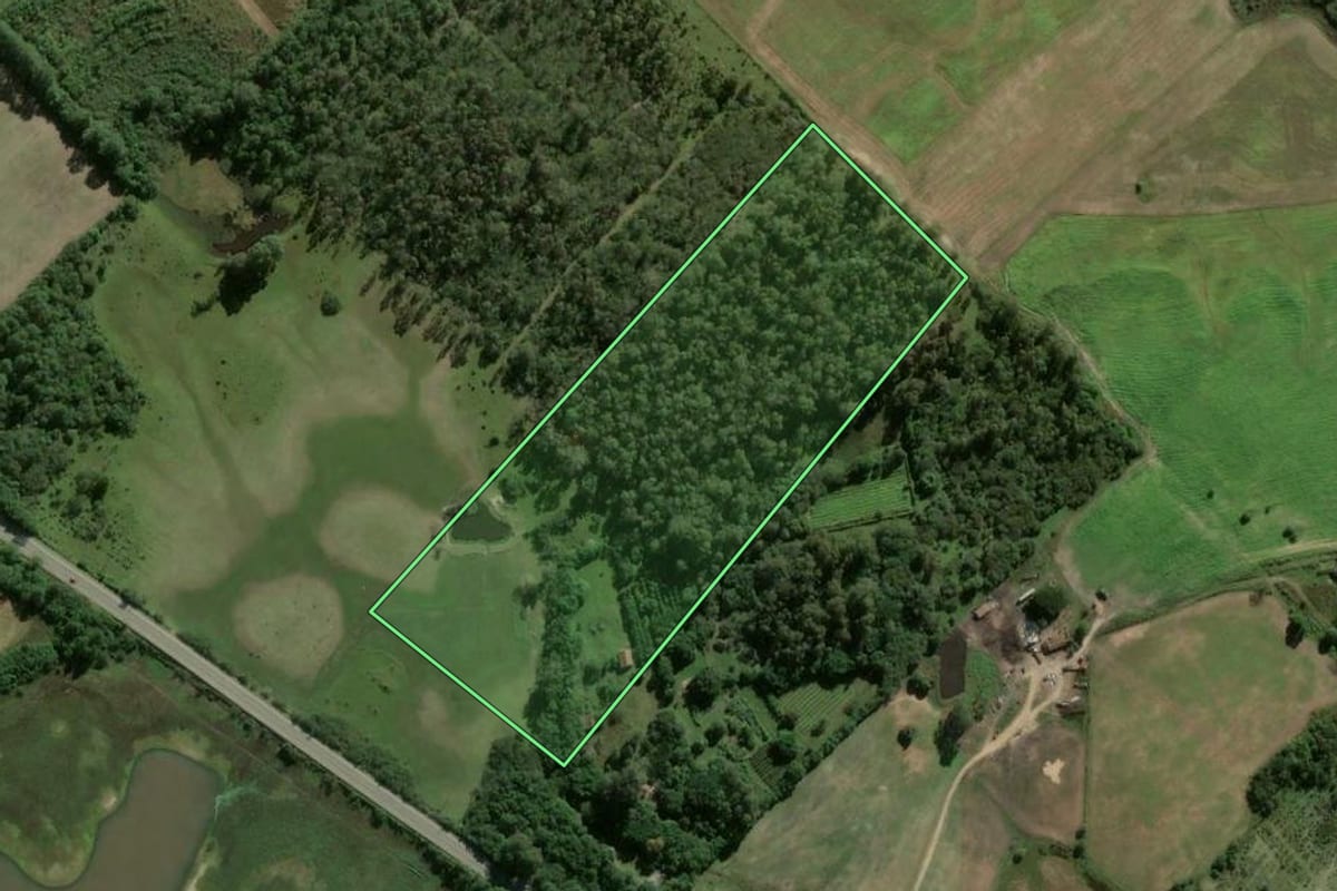 Imagem de satélite do imóvel rural em Pelotas (RS), com o contorno declarado no CAR desenhado por cima.