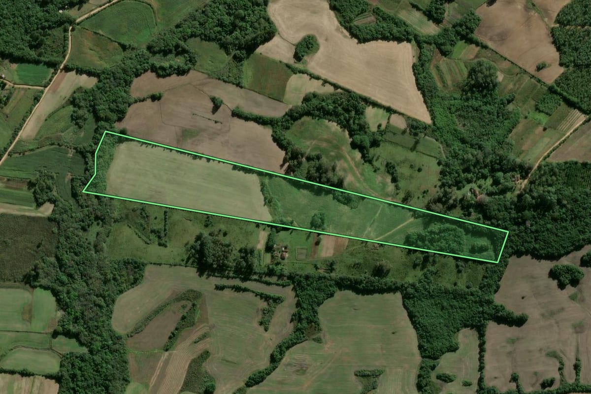 Imagem de satélite do imóvel rural em Pelotas (RS), com o contorno declarado no CAR desenhado por cima.