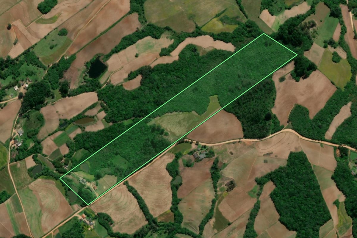 Imagem de satélite do imóvel rural em Pelotas (RS), com o contorno declarado no CAR desenhado por cima.