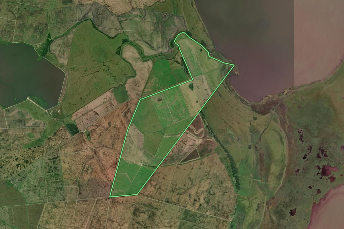 Imagem de satélite do imóvel rural em Pelotas (RS), com o contorno declarado no CAR desenhado por cima.