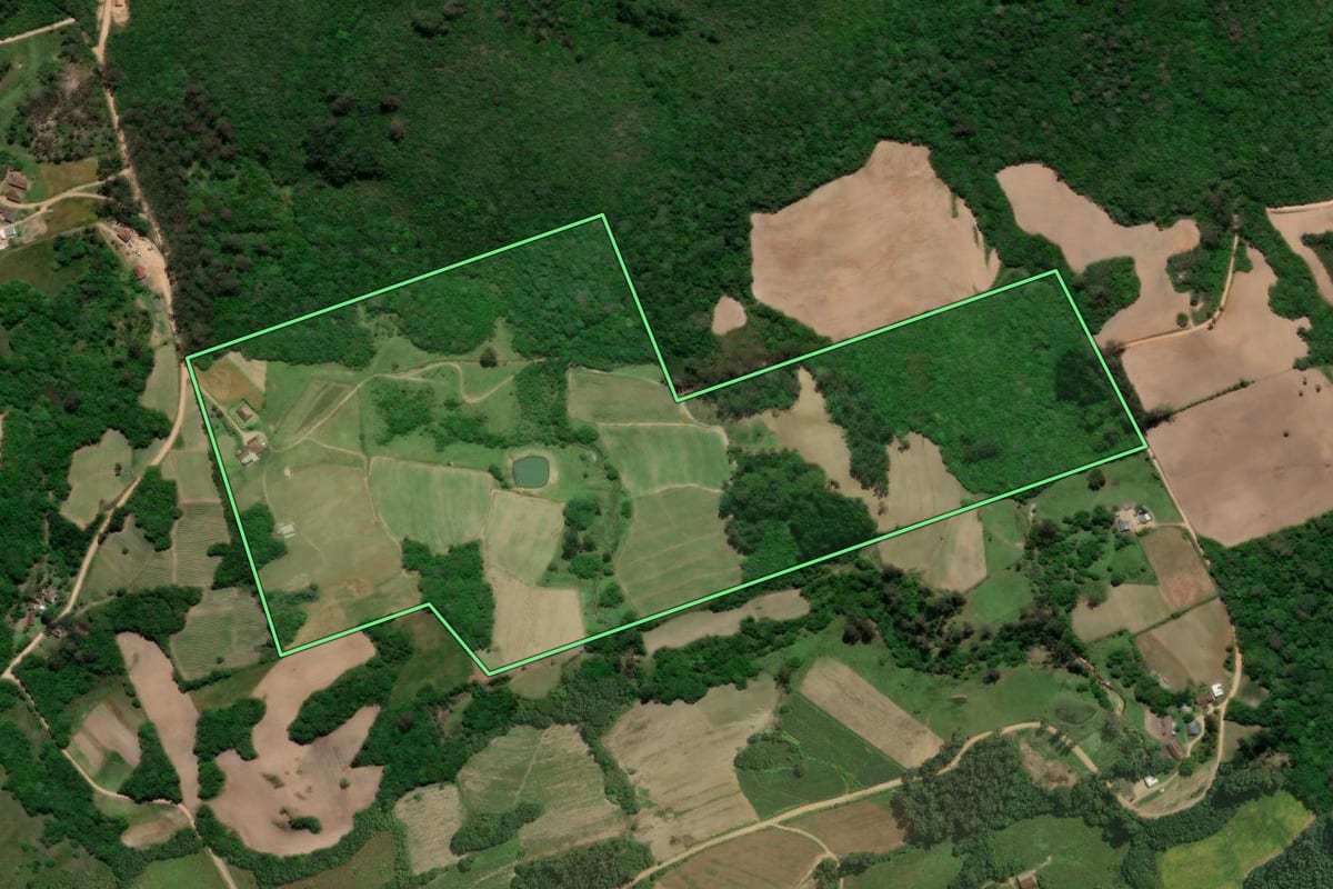 Imagem de satélite do imóvel rural em Pelotas (RS), com o contorno declarado no CAR desenhado por cima.