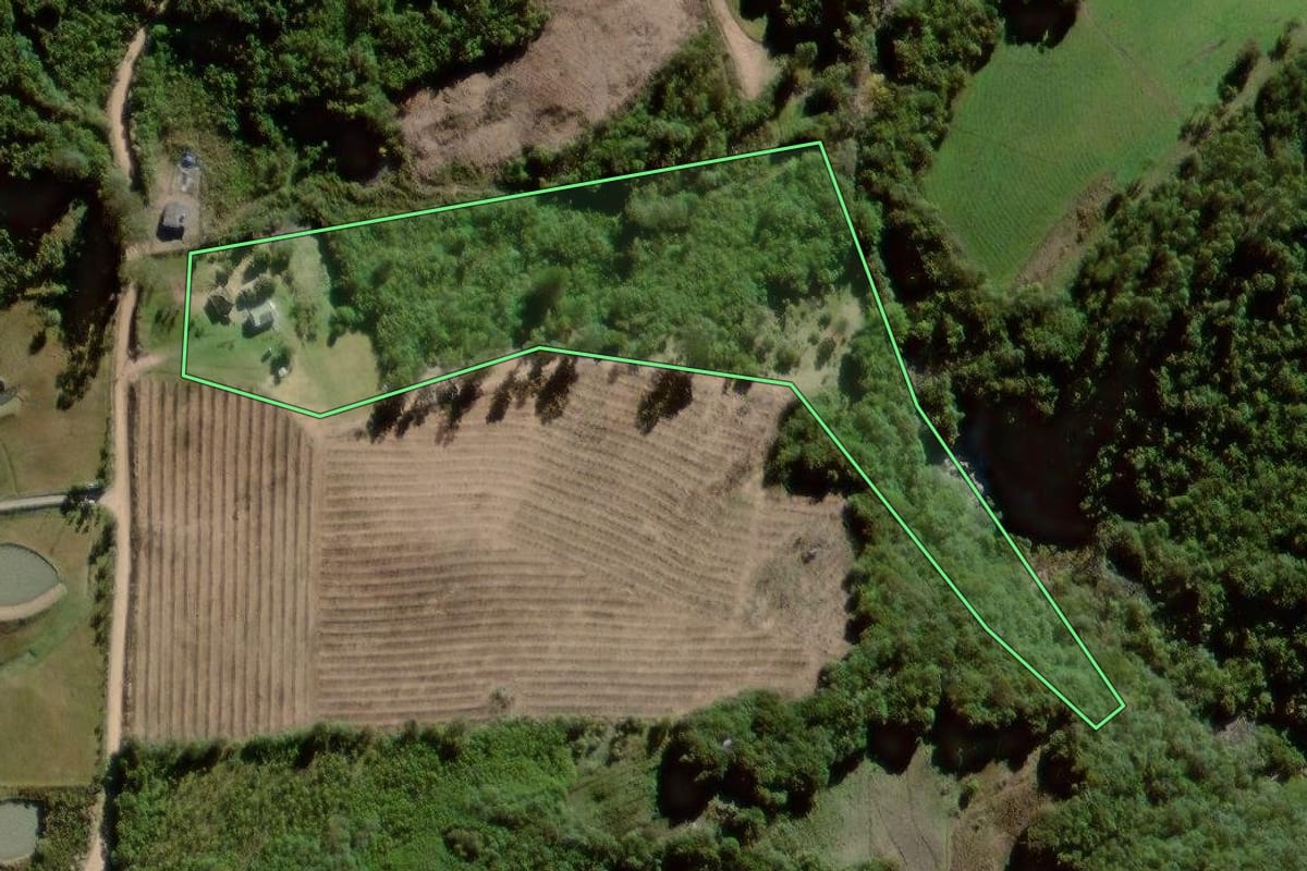 Imagem de satélite do imóvel rural em Pelotas (RS), com o contorno declarado no CAR desenhado por cima.