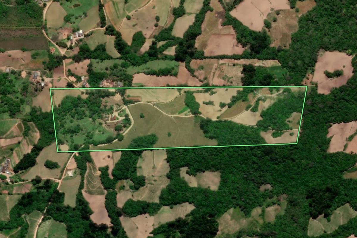 Imagem de satélite do imóvel rural em Pelotas (RS), com o contorno declarado no CAR desenhado por cima.