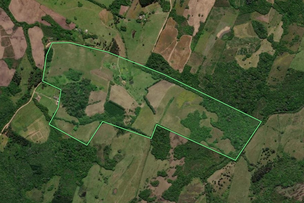 Imagem de satélite do imóvel rural em Pelotas (RS), com o contorno declarado no CAR desenhado por cima.