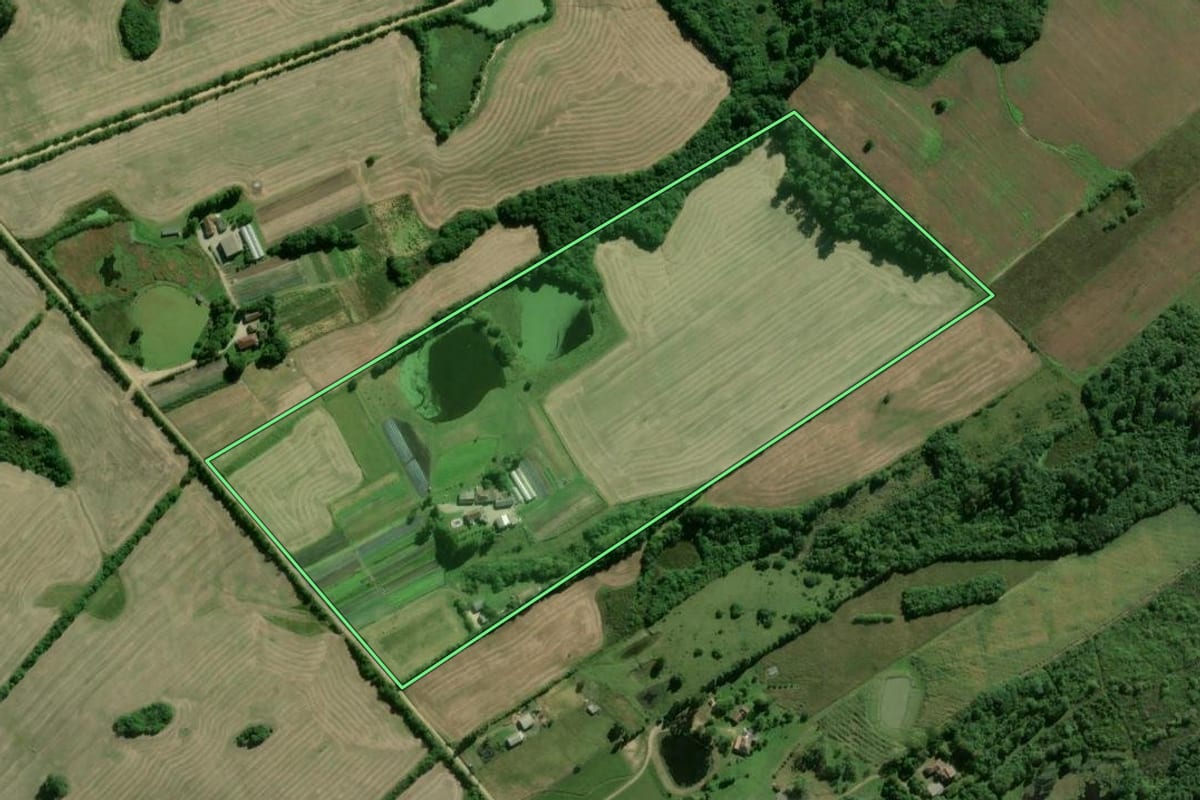 Imagem de satélite do imóvel rural em Pelotas (RS), com o contorno declarado no CAR desenhado por cima.