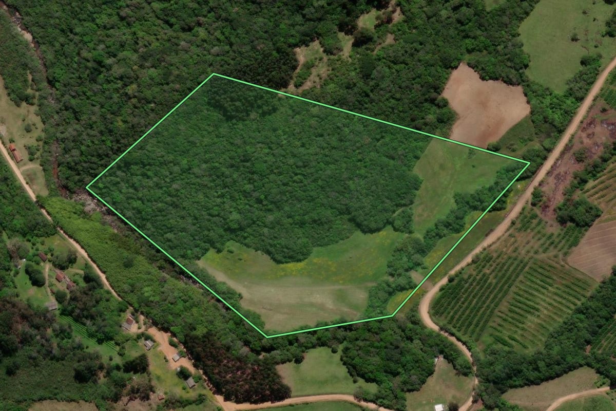 Imagem de satélite do imóvel rural em Pelotas (RS), com o contorno declarado no CAR desenhado por cima.