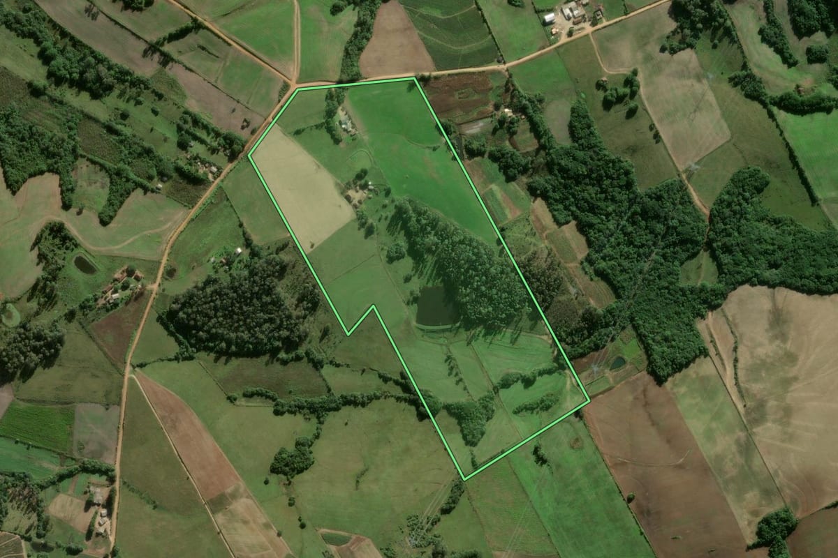 Imagem de satélite do imóvel rural em Pelotas (RS), com o contorno declarado no CAR desenhado por cima.