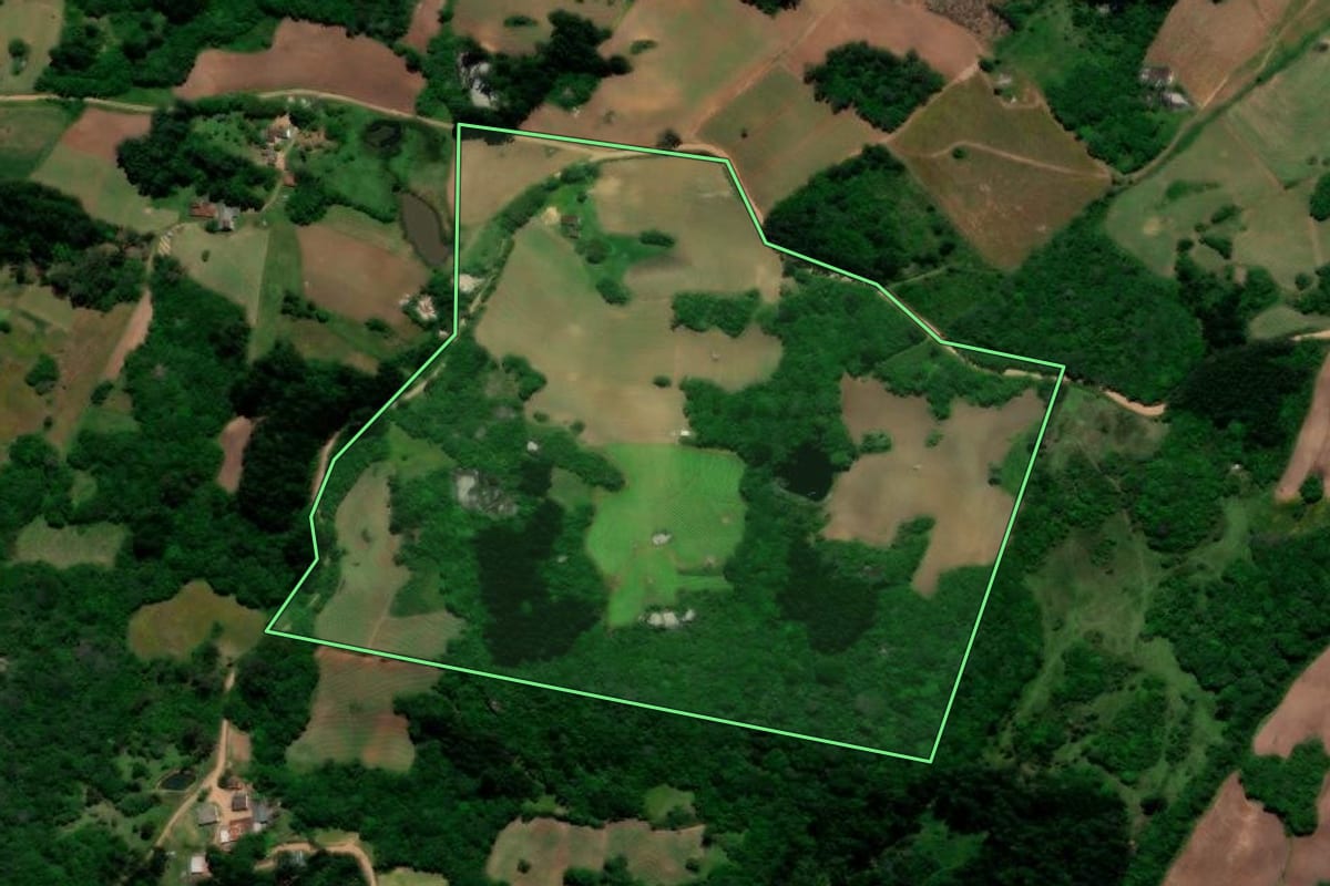 Imagem de satélite do imóvel rural em Pelotas (RS), com o contorno declarado no CAR desenhado por cima.