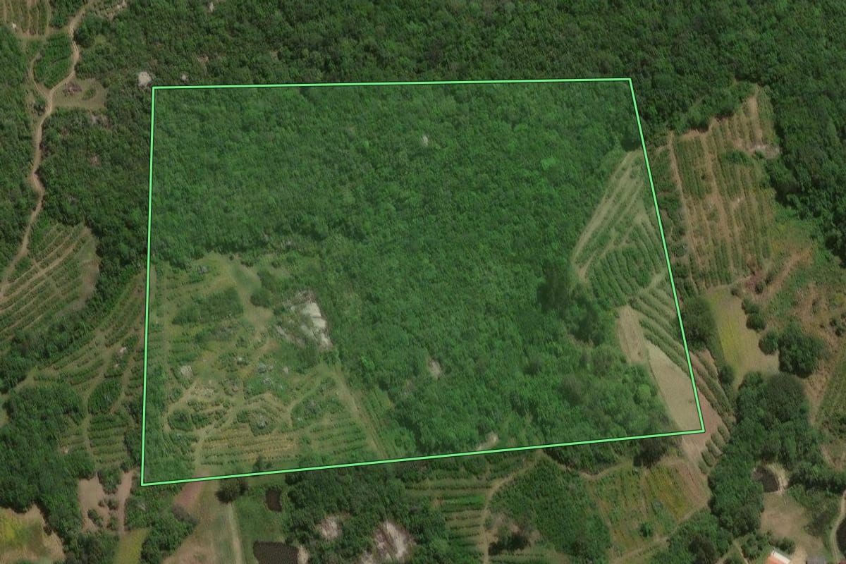 Imagem de satélite do imóvel rural em Pelotas (RS), com o contorno declarado no CAR desenhado por cima.