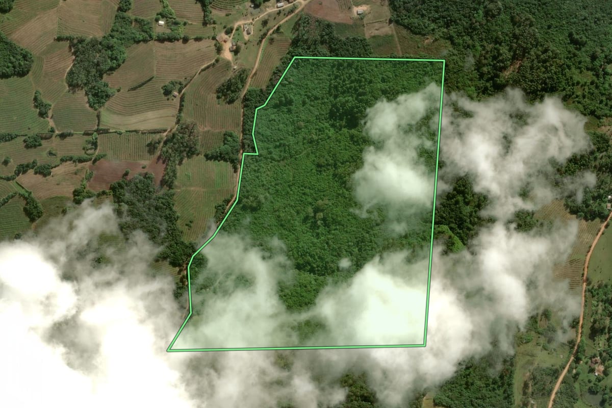 Imagem de satélite do imóvel rural em Pelotas (RS), com o contorno declarado no CAR desenhado por cima.