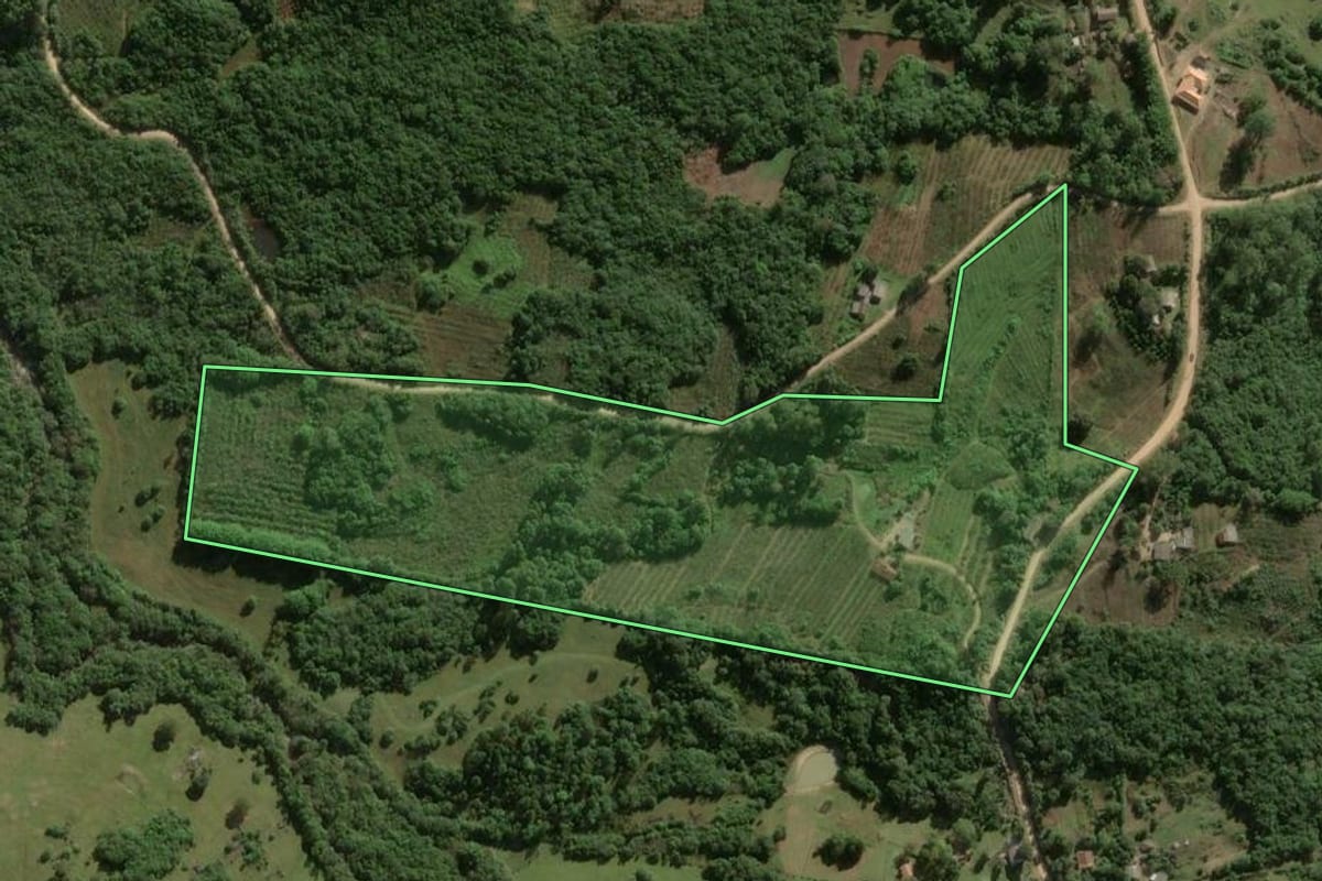Imagem de satélite do imóvel rural em Pelotas (RS), com o contorno declarado no CAR desenhado por cima.