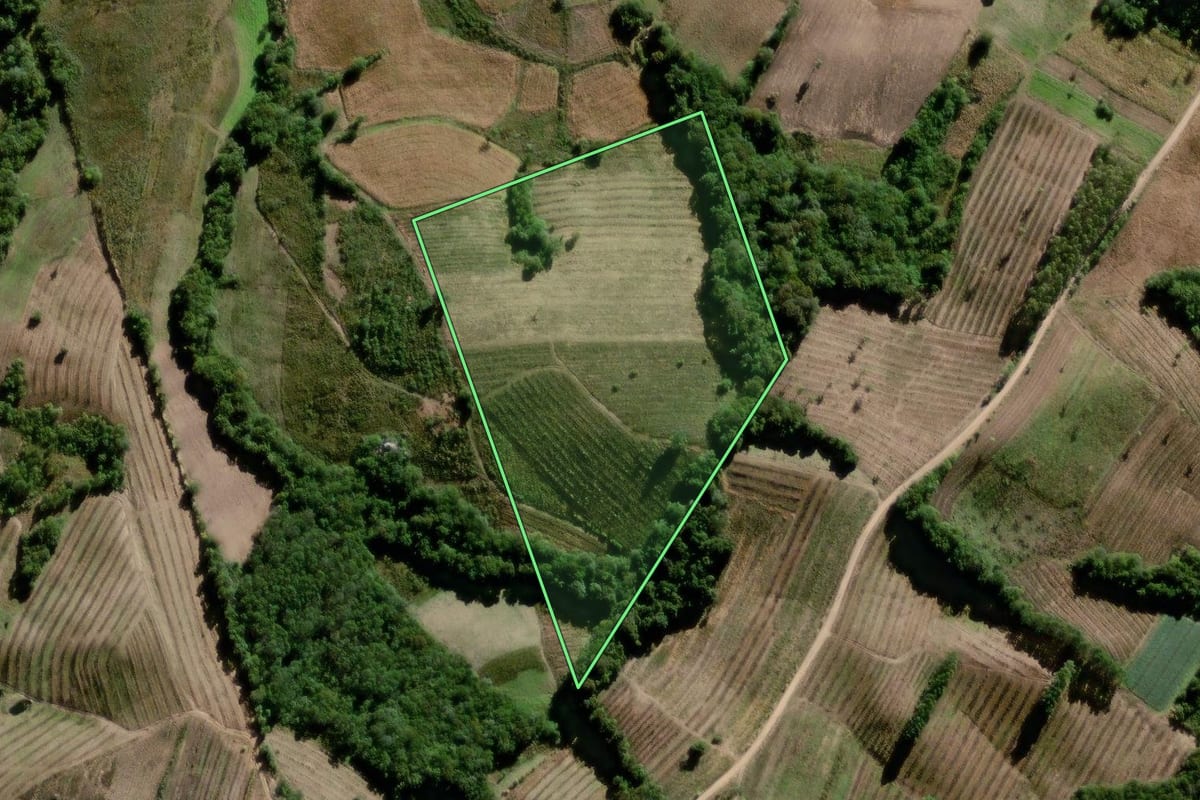 Imagem de satélite do imóvel rural em Pelotas (RS), com o contorno declarado no CAR desenhado por cima.