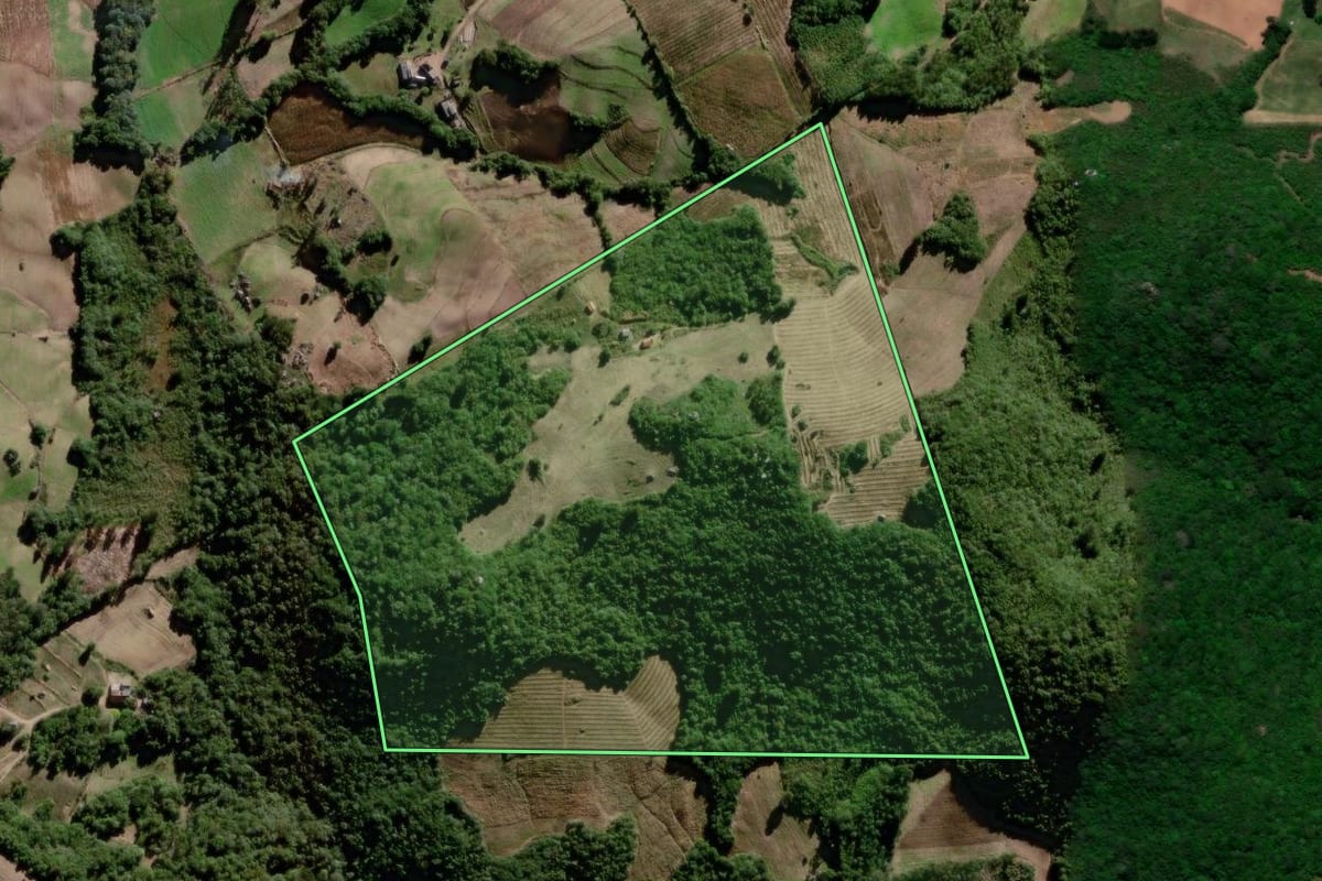Imagem de satélite do imóvel rural em Pelotas (RS), com o contorno declarado no CAR desenhado por cima.