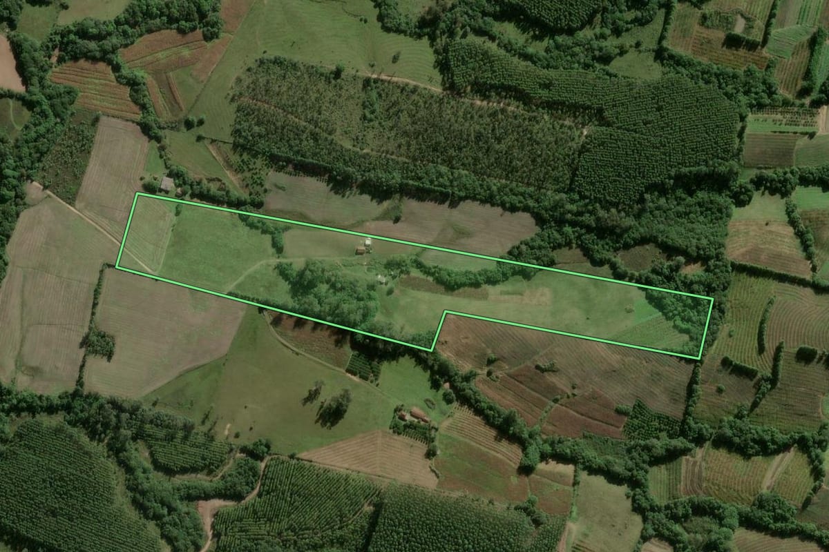 Imagem de satélite do imóvel rural em Pelotas (RS), com o contorno declarado no CAR desenhado por cima.