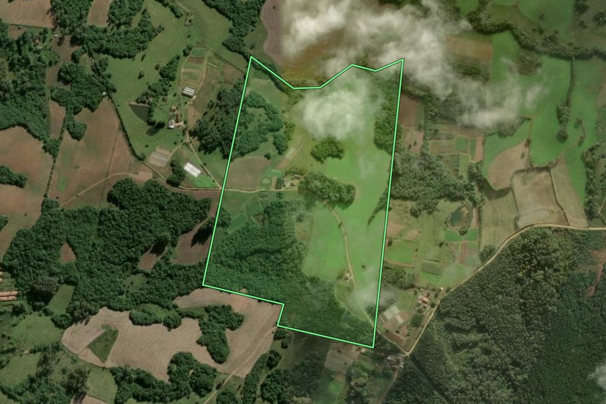 Imagem de satélite do imóvel rural em Pelotas (RS), com o contorno declarado no CAR desenhado por cima.
