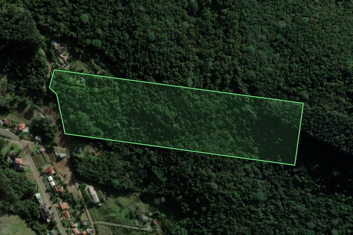 Imagem de satélite do imóvel rural em Picada Café (RS), com o contorno declarado no CAR desenhado por cima.