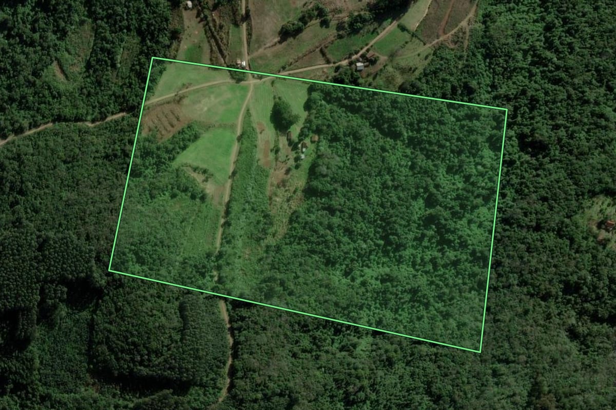 Imagem de satélite do imóvel rural em Picada Café (RS), com o contorno declarado no CAR desenhado por cima.