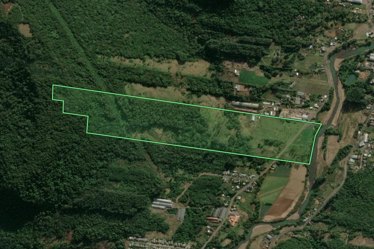 Imagem de satélite do imóvel rural em Picada Café (RS), com o contorno declarado no CAR desenhado por cima.