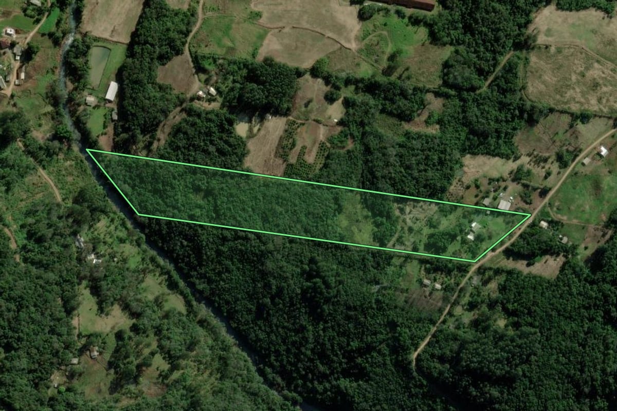 Imagem de satélite do imóvel rural em Picada Café (RS), com o contorno declarado no CAR desenhado por cima.