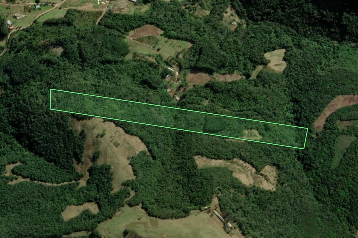 Imagem de satélite do imóvel rural em Picada Café (RS), com o contorno declarado no CAR desenhado por cima.