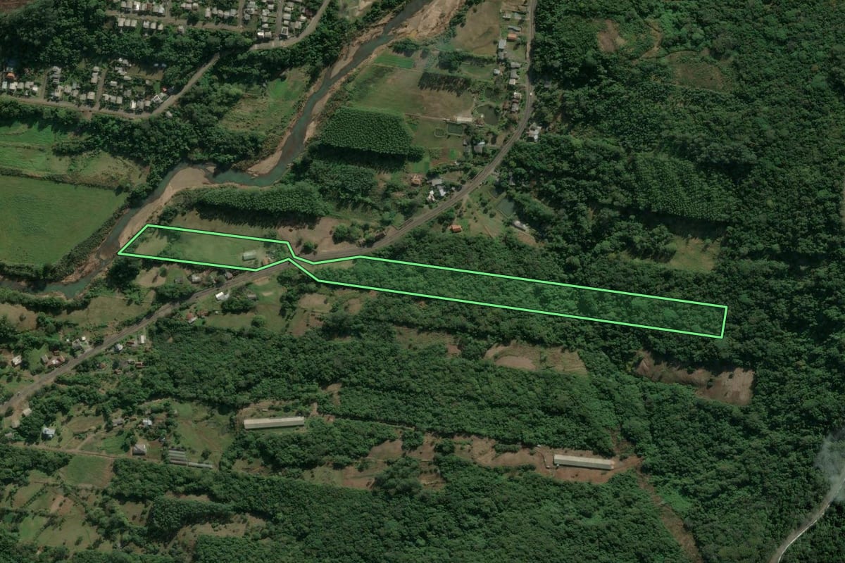 Imagem de satélite do imóvel rural em Picada Café (RS), com o contorno declarado no CAR desenhado por cima.