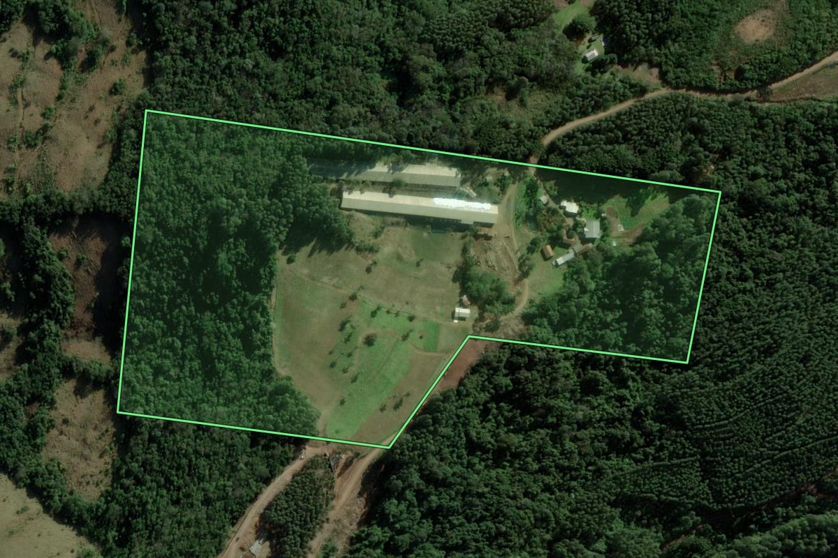 Imagem de satélite do imóvel rural em Picada Café (RS), com o contorno declarado no CAR desenhado por cima.