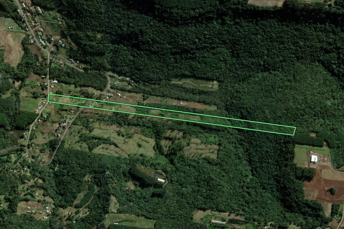 Imagem de satélite do imóvel rural em Picada Café (RS), com o contorno declarado no CAR desenhado por cima.