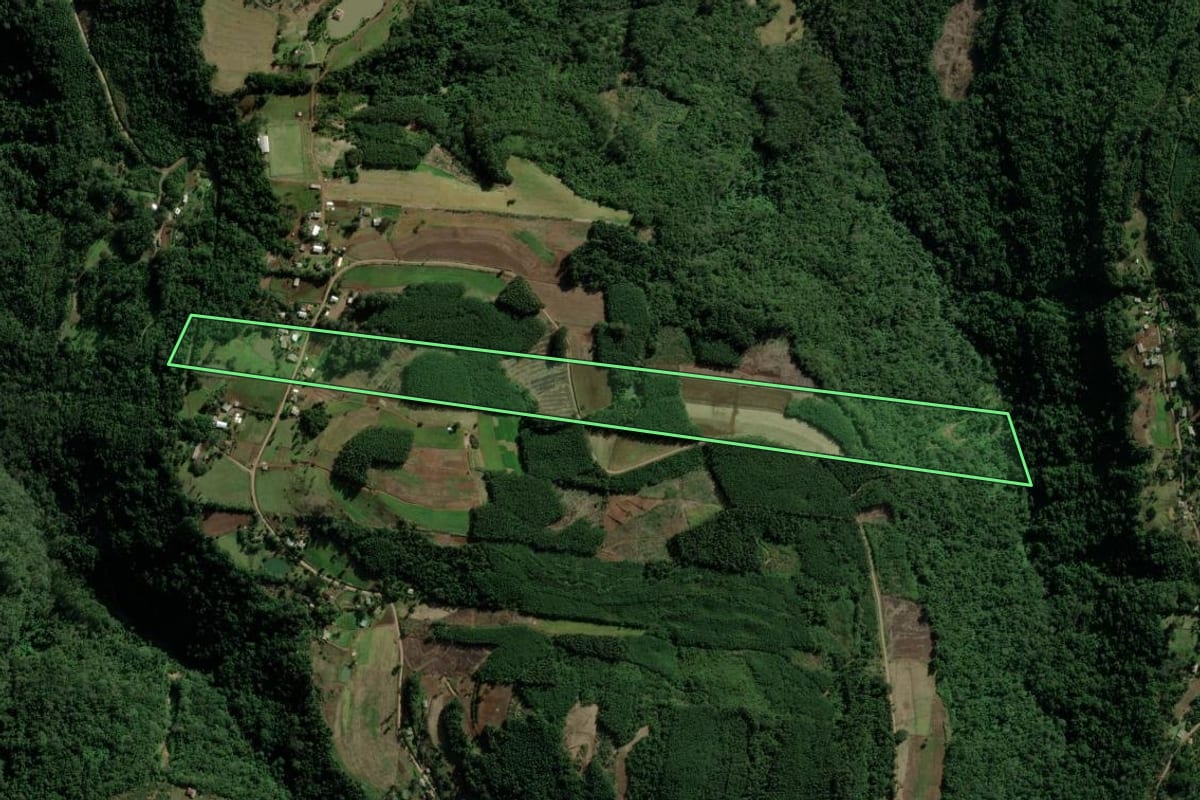 Imagem de satélite do imóvel rural em Picada Café (RS), com o contorno declarado no CAR desenhado por cima.