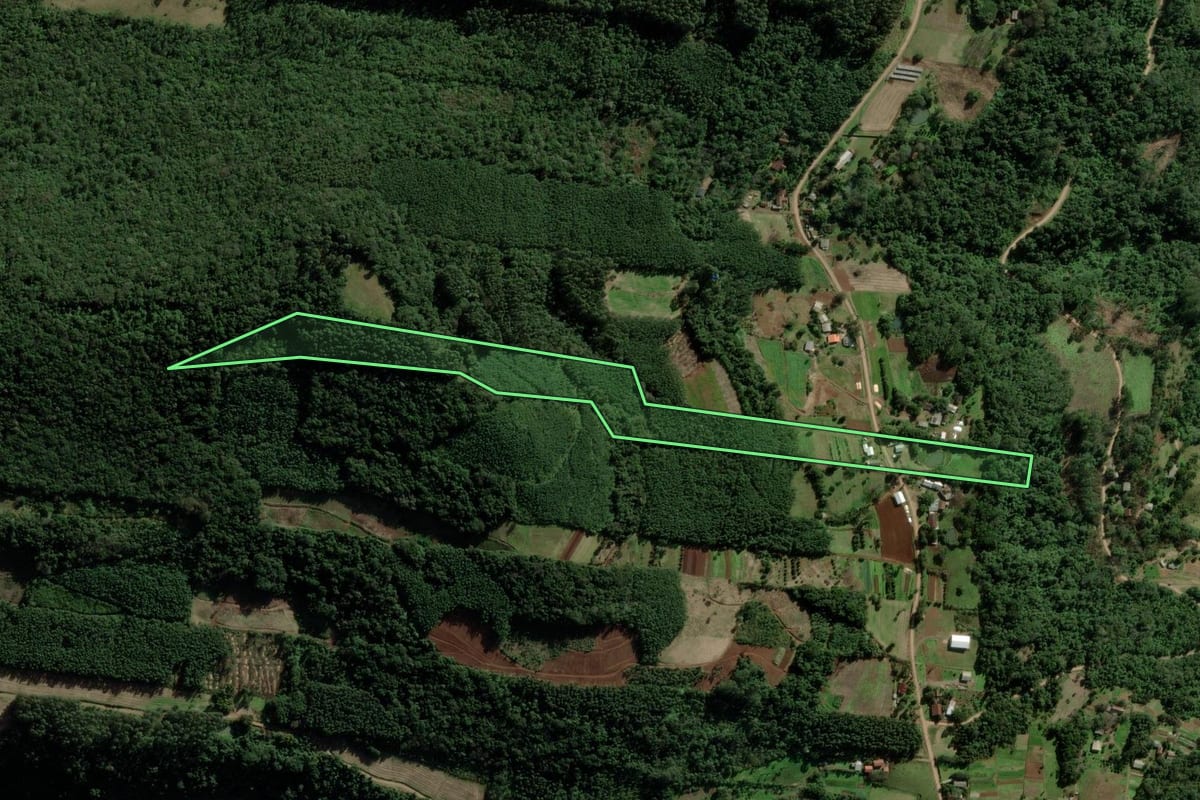 Imagem de satélite do imóvel rural em Picada Café (RS), com o contorno declarado no CAR desenhado por cima.