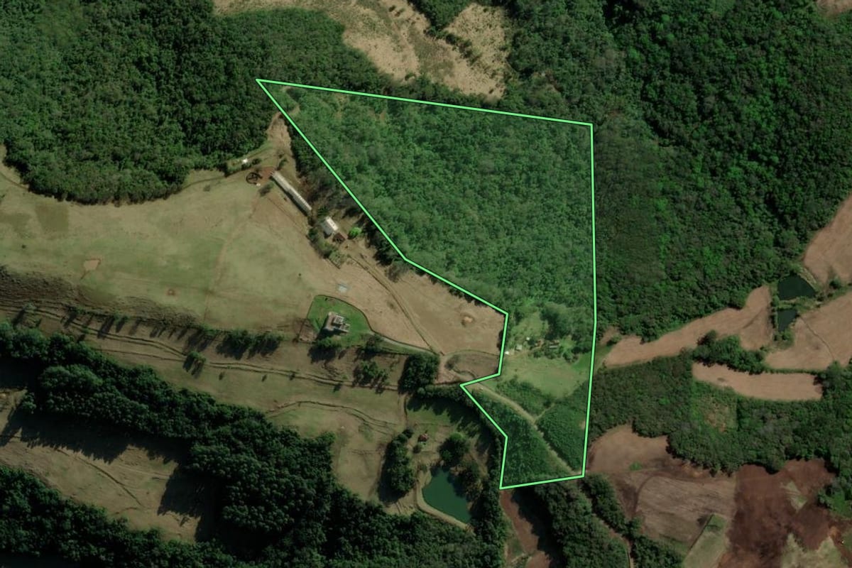 Imagem de satélite do imóvel rural em Picada Café (RS), com o contorno declarado no CAR desenhado por cima.