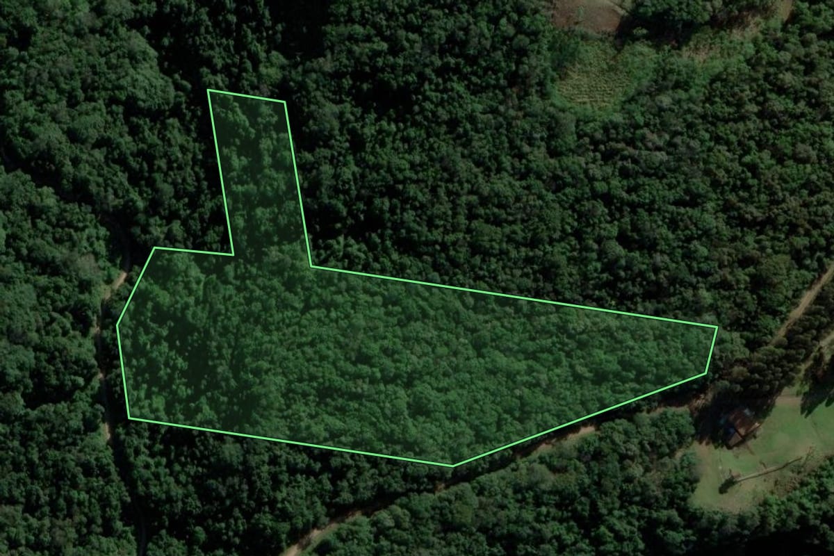 Imagem de satélite do imóvel rural em Picada Café (RS), com o contorno declarado no CAR desenhado por cima.