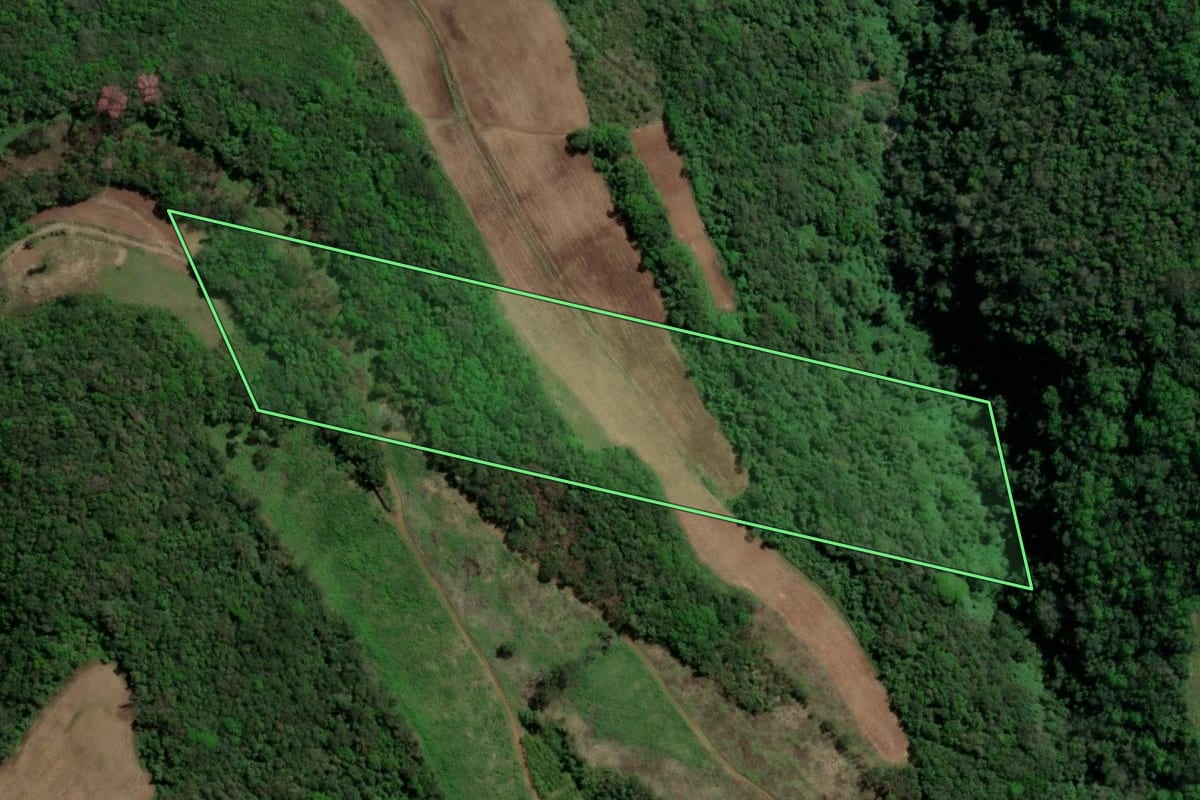 Imagem de satélite do imóvel rural em Picada Café (RS), com o contorno declarado no CAR desenhado por cima.