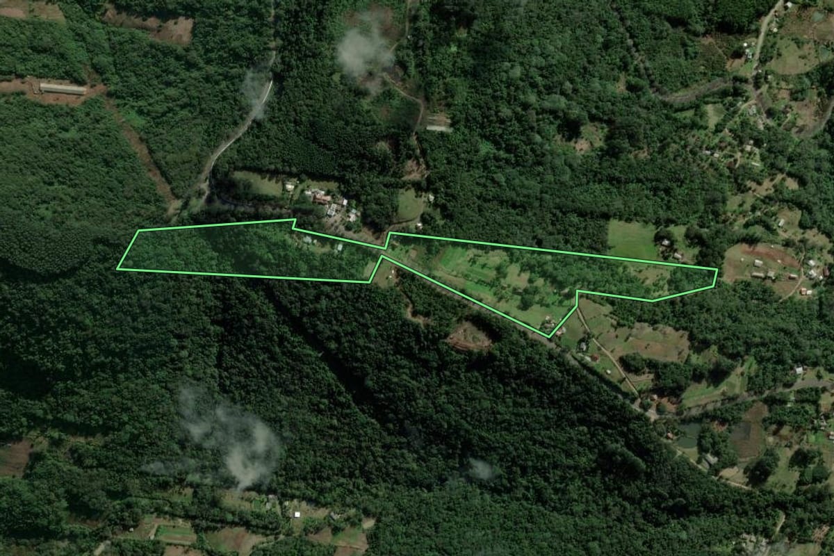 Imagem de satélite do imóvel rural em Picada Café (RS), com o contorno declarado no CAR desenhado por cima.