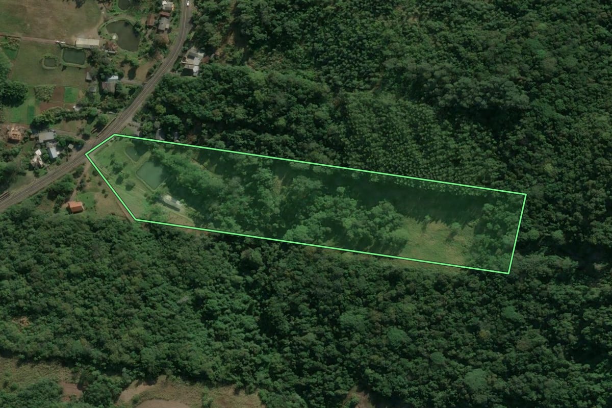 Imagem de satélite do imóvel rural em Picada Café (RS), com o contorno declarado no CAR desenhado por cima.
