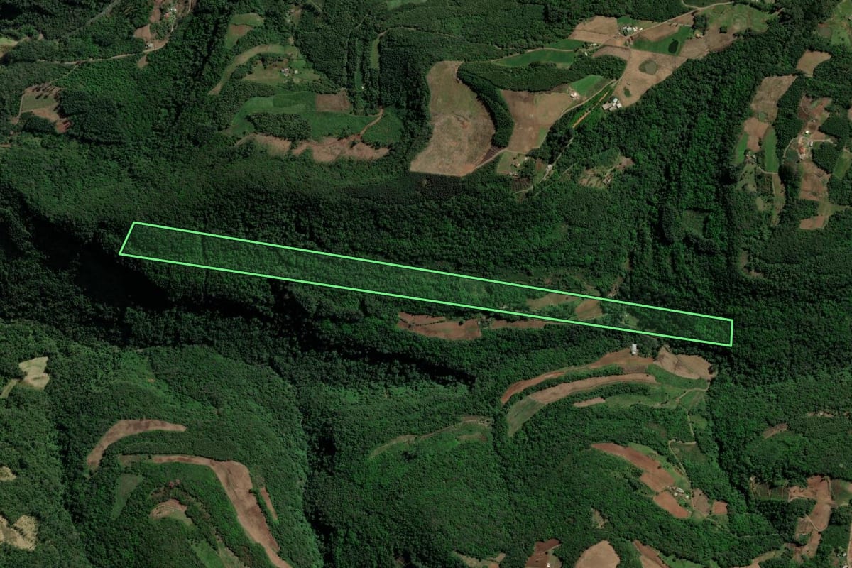 Imagem de satélite do imóvel rural em Picada Café (RS), com o contorno declarado no CAR desenhado por cima.