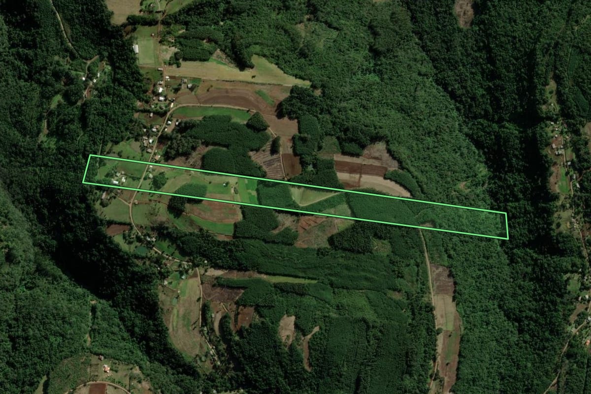 Imagem de satélite do imóvel rural em Picada Café (RS), com o contorno declarado no CAR desenhado por cima.