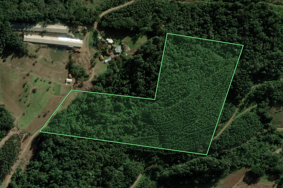Imagem de satélite do imóvel rural em Picada Café (RS), com o contorno declarado no CAR desenhado por cima.