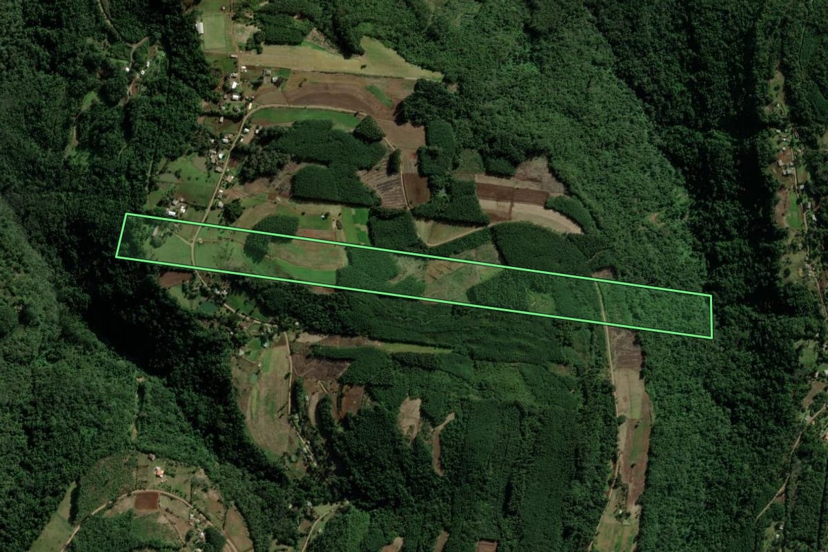Imagem de satélite do imóvel rural em Picada Café (RS), com o contorno declarado no CAR desenhado por cima.