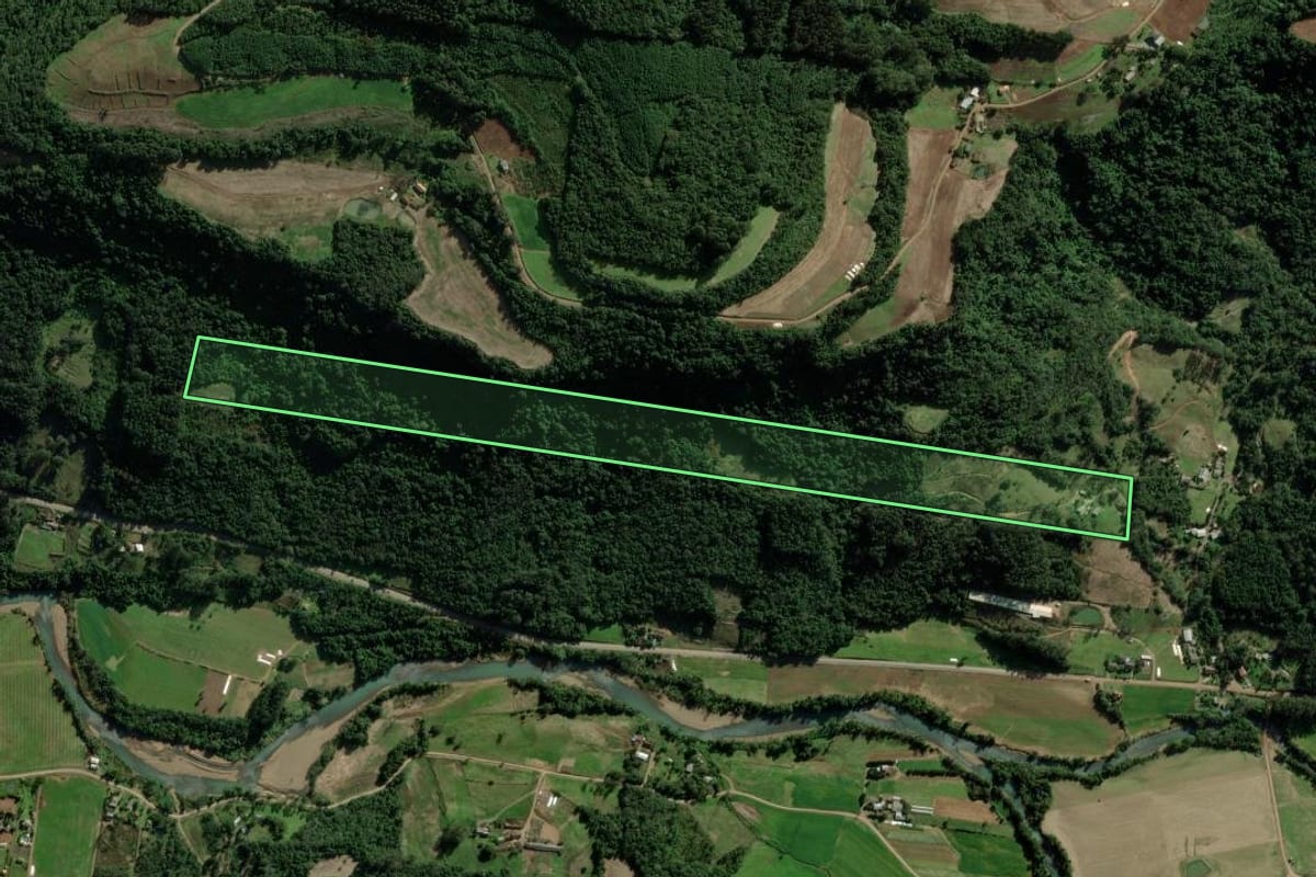 Imagem de satélite do imóvel rural em Picada Café (RS), com o contorno declarado no CAR desenhado por cima.