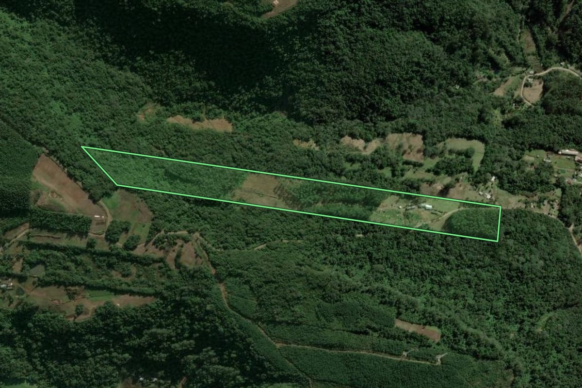Imagem de satélite do imóvel rural em Picada Café (RS), com o contorno declarado no CAR desenhado por cima.